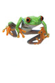 Red-Eyed Treefrog Wall Decal