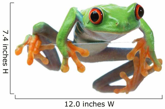 Red-Eyed Treefrog Wall Decal