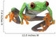 Red-Eyed Treefrog Wall Decal