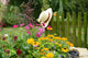 Garden 2
