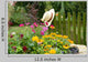 Garden 2