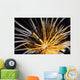Crinoids