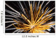 Crinoids