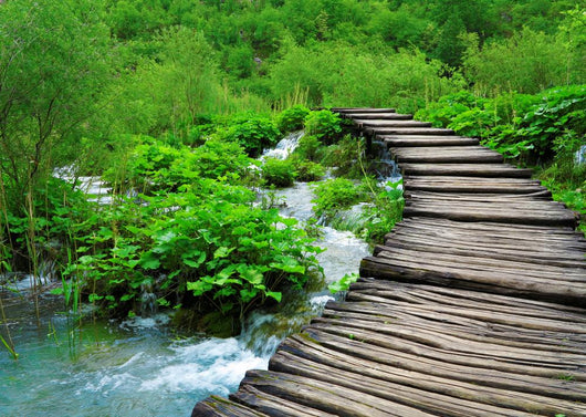Wooden Path and Waterfall