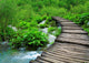 Wooden Path and Waterfall