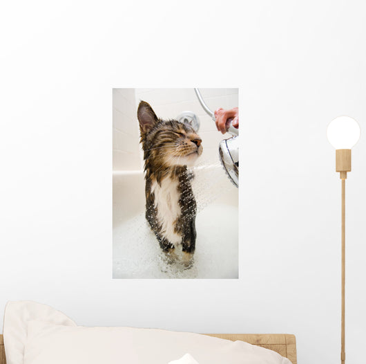 Cat in the shower Wall Mural