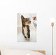 Cat in the shower Wall Mural
