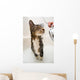 Cat in the shower Wall Mural