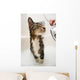 Cat in the shower Wall Mural
