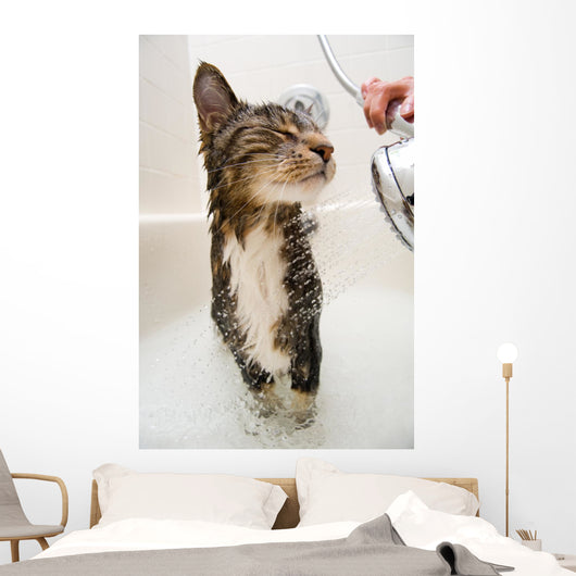 Cat in the shower Wall Mural