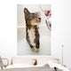 Cat in the shower Wall Mural
