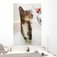 Cat in the shower Wall Mural