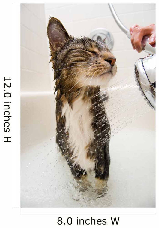 Cat in the shower Wall Mural