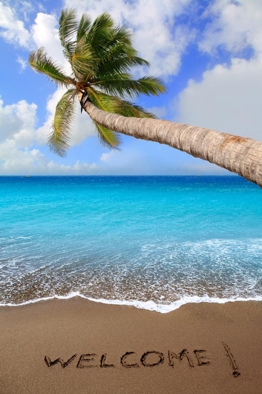 Brown Beach Sand with Wall Mural