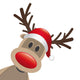 Rudolph Reindeer Red Nose