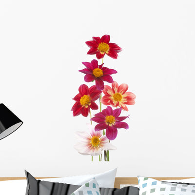 Dahlia Wall Decal shown on a wall