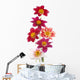 Dahlia Wall Decal