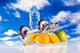 Fitness Equipment and Fruits Wall Mural