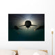 Sharks Wall Mural