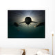 Sharks Wall Mural