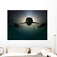 Sharks Wall Mural