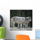 Wolves Wall Mural