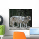 Wolves Wall Mural