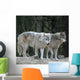 Wolves Wall Mural