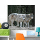 Wolves Wall Mural