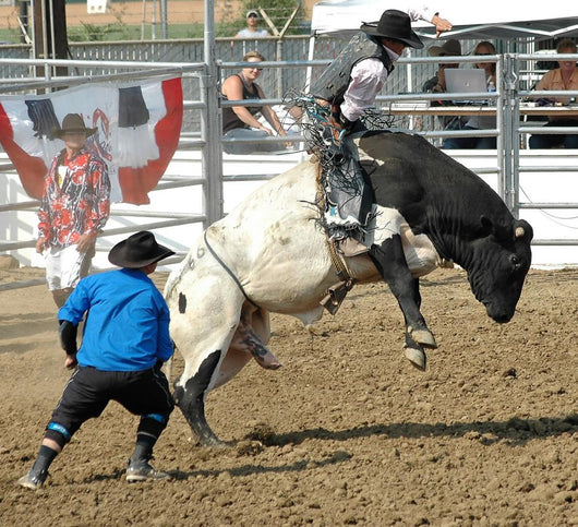Bull Cowboy Rider Wall Mural