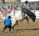 Bull Cowboy Rider Wall Mural