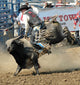 Bull Cowboy Wall Mural
