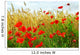 Grain and poppy field Wall Mural