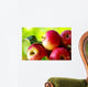 ripe red apples on table Wall Mural