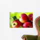 ripe red apples on table Wall Mural