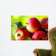 ripe red apples on table Wall Mural