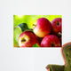 ripe red apples on table Wall Mural