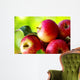 ripe red apples on table Wall Mural