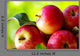 ripe red apples on table Wall Mural
