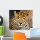Leopard Wall Mural
