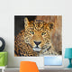 Leopard Wall Mural