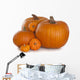 Pumpkins Wall Decal