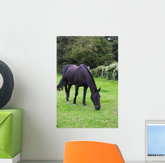 Black Horse