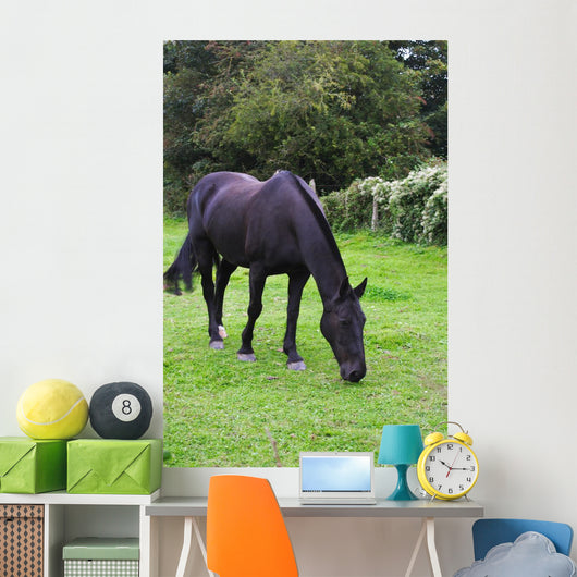 Black Horse