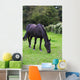 Black Horse