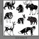 set of forest animals black and white Wall Decal