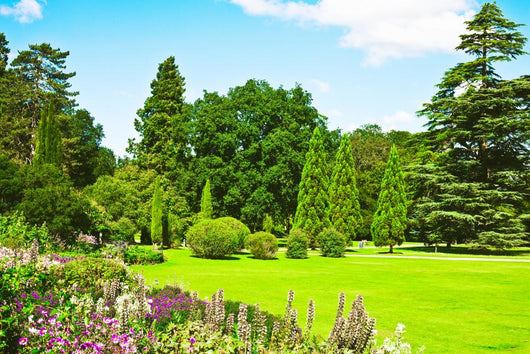 English garden Wall Mural