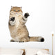 Golden Shaded British Shorthair Wall Decal