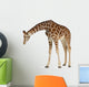 Reticulated  Somali Giraffe Wall Decal