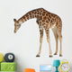 Reticulated  Somali Giraffe Wall Decal